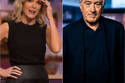 The Power of Restraint: How Robert De Niro Silenced Megyn Kelly on Live TV Without Raising His Voice