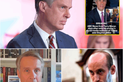 BREAKING: “I WILL GET REVENGE.” — TERRY MORAN, FIRED FROM ABC, GETS A NEW JOB IN JUST 24 HOURS. NOW HE’S BREAKING THE SILENCE—AND IT’S GOING TO HURT.