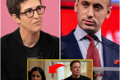 “You Can Dodge the Questions, But You Can’t Outrun the Timeline.” — Rachel Maddow’s Relentless On-Air Interrogation Left Stephen Miller Cornered, Speechless, and Exposed