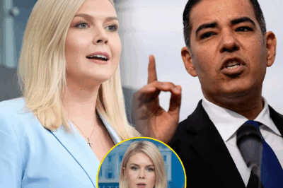“YOU LIED — AND I HAVE THE RECEIPTS.” Karoline Leavitt Gets Humiliated by Robert Garcia on Live TV Over a Single Line She Couldn’t Explain