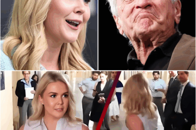 “Sit down, Barbie—you’re not fit to be a role model for troubled high schoolers, let alone for America.” Karoline Leavitt Goes After Robert De Niro On Live TV — But One Calm Sentence Flips the Entire Room Against Her