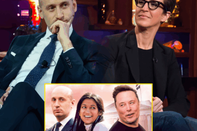 Rachel Maddow: “You Want to Talk Morals, Stephen?” — The 7 Words That Dismantled Him on Live TV