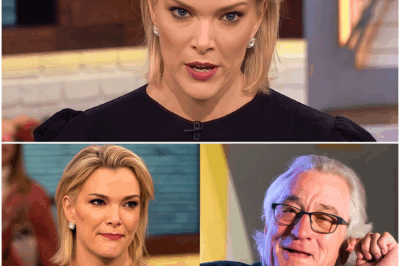 Robert De Niro Silences Megyn Kelly Live On Air With Eight Words That Changed the Room, the Ratings, and the Power Dynamic